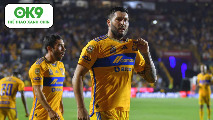 Long tranh hổ đấu: Tigres UANL áp đảo Club Tijuana với sức mạnh ELO vượt trội.