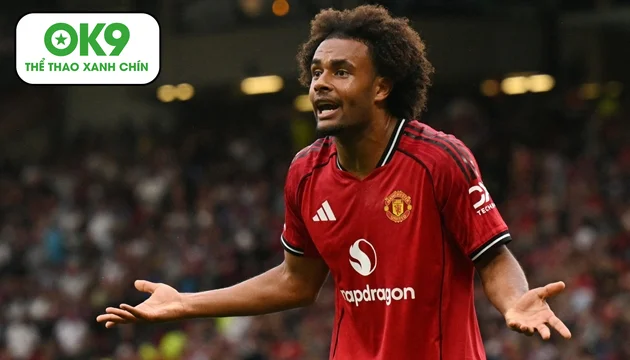 Hy vọng rời Man United của Zirkzee tan vỡ vì chấn thương Sesko nghiêm trọng.